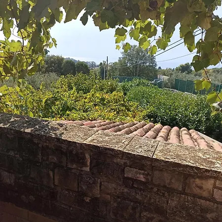 Hedra * Zambratija (Istria)